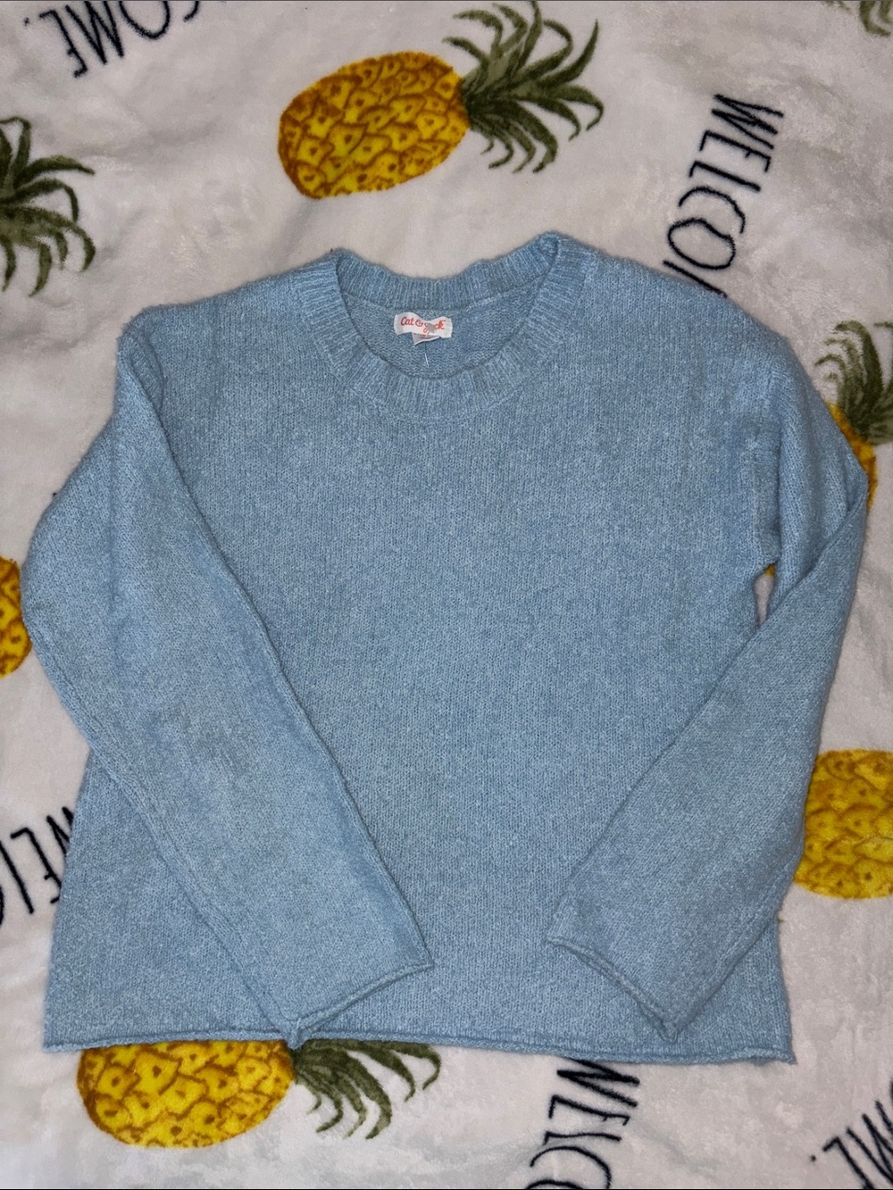 Cozy Light Blue Childs girl  Crewneck Sweater large